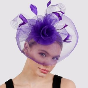 Feathers Fascinator Kentucky Derby, High Tea Church